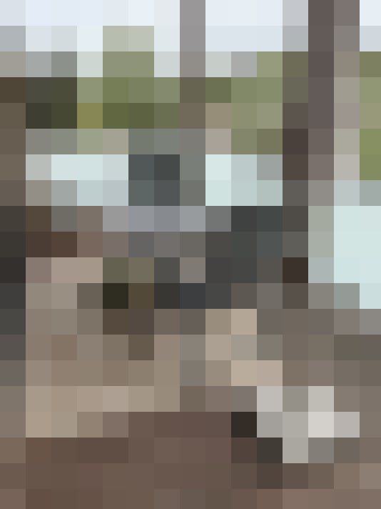 Image 18