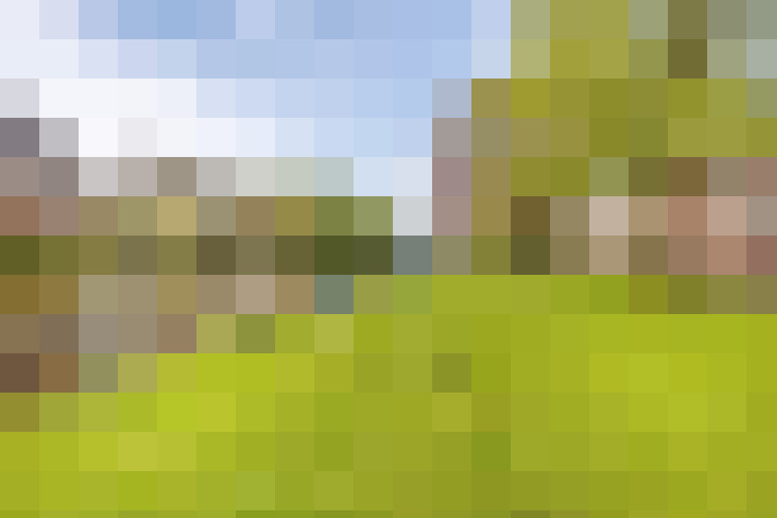 Image 39