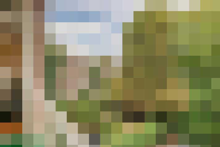 Image 26