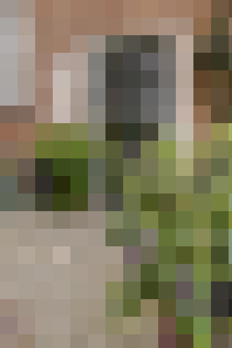 Image 16