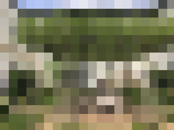 Image 24