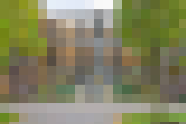 Image 25
