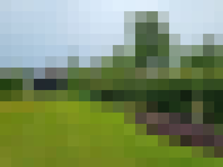 Image 30