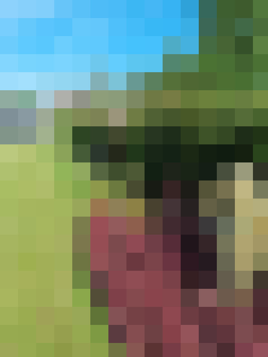 Image 31