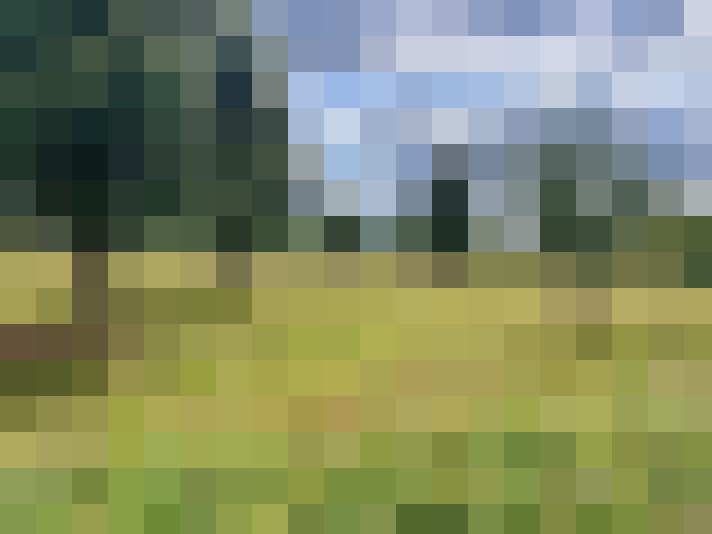 Image 34