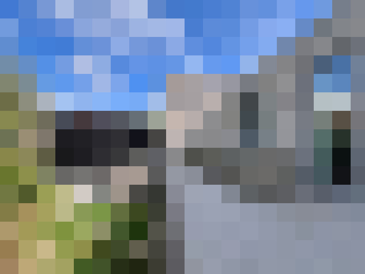 Image 29