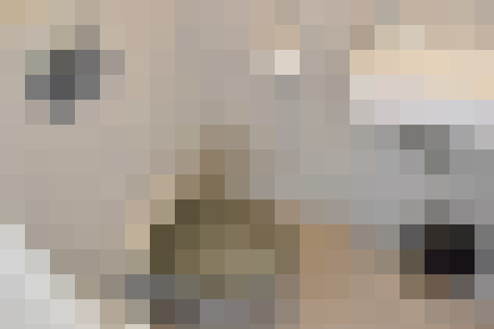 Image 30
