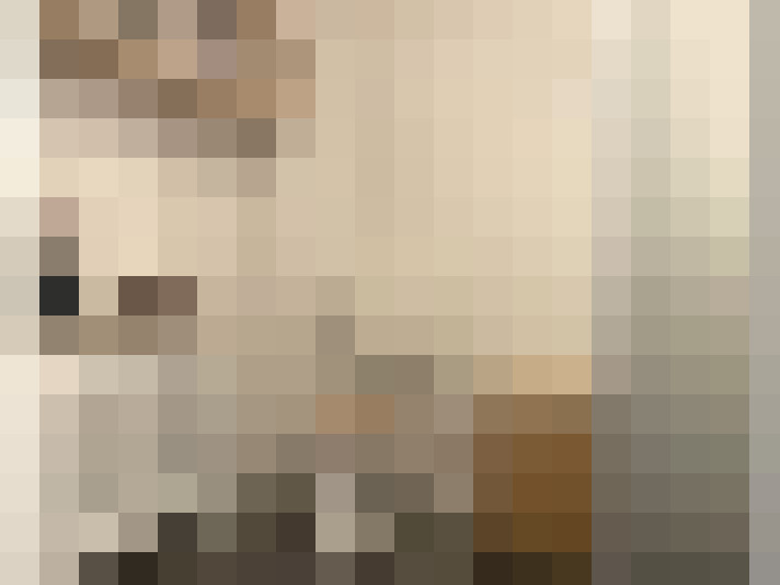 Image 32