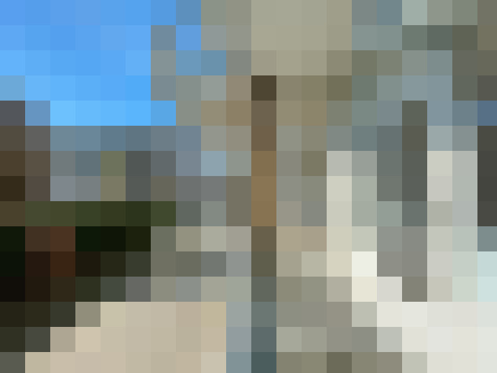 Image 14