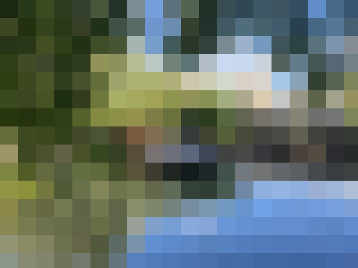 Image 25