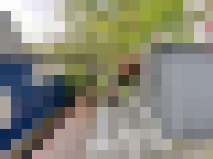 Image 23