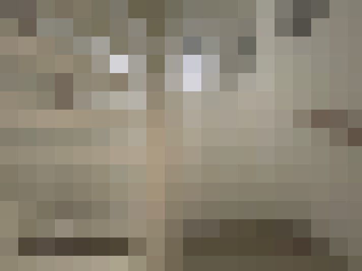 Image 13