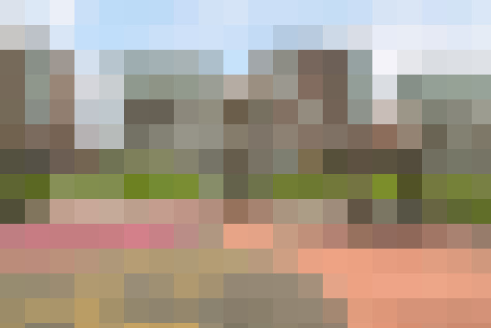 Image 23
