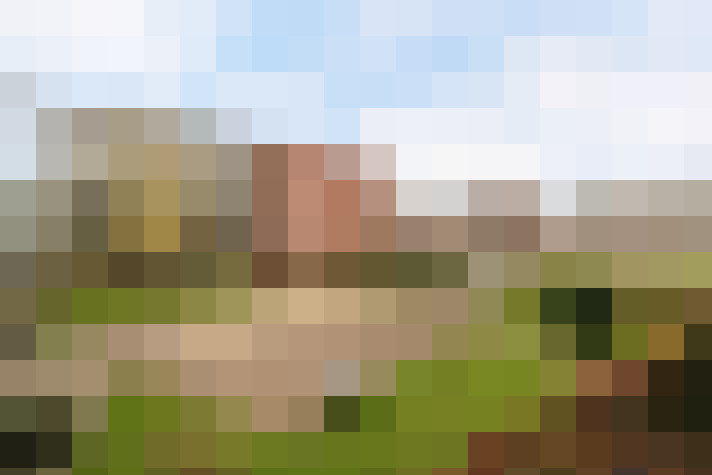 Image 22