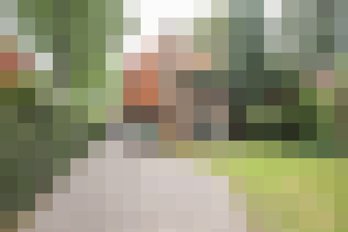 Image 47
