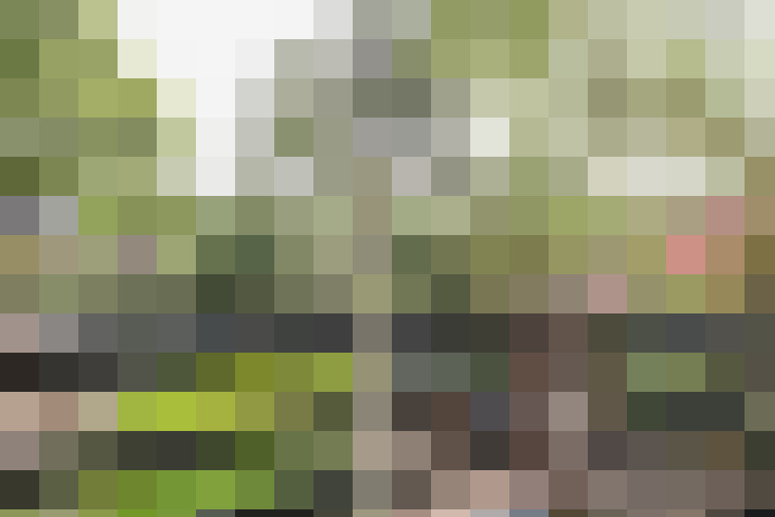 Image 27
