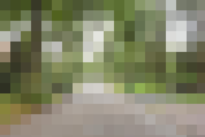 Image 42