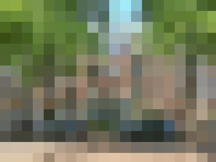 Image 15