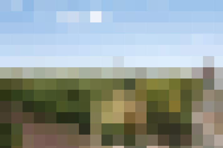 Image 20