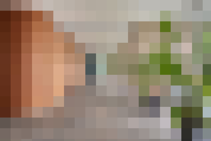 Image 29