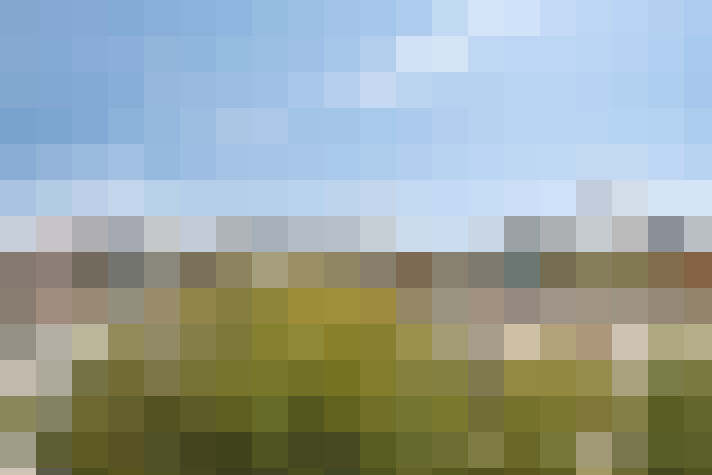 Image 31