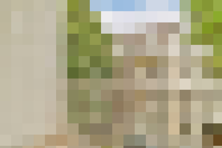 Image 24