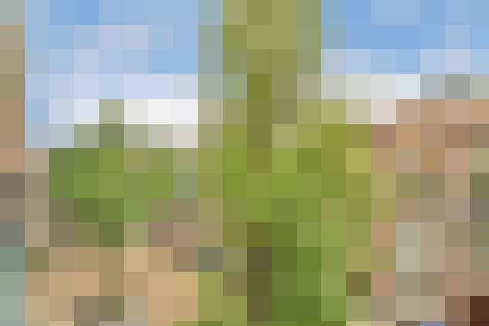 Image 18