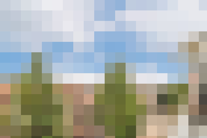Image 33
