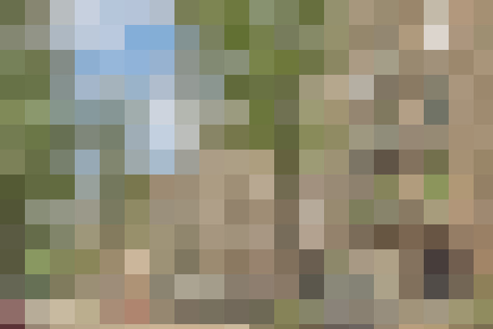 Image 39