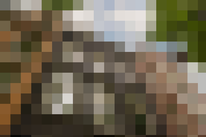 Image 42