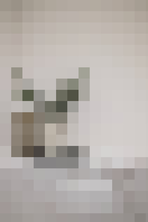 Image 47
