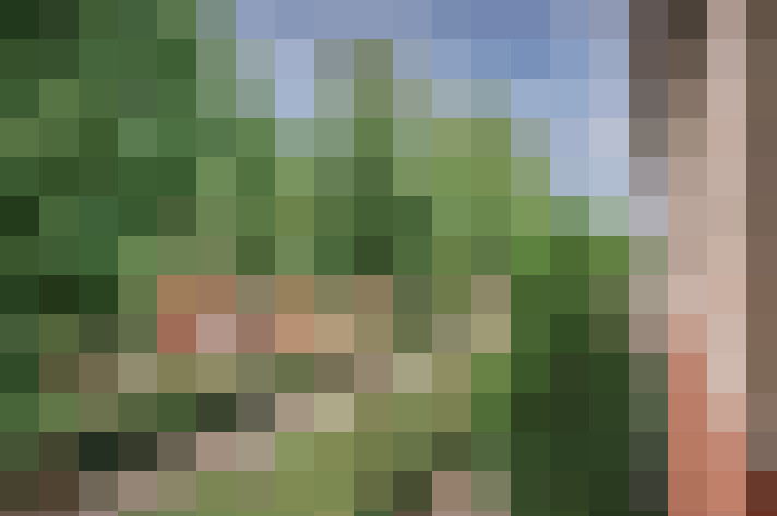 Image 24