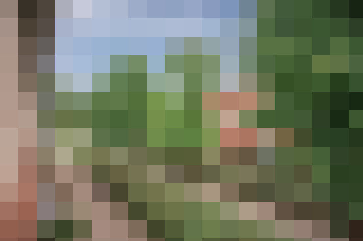 Image 27