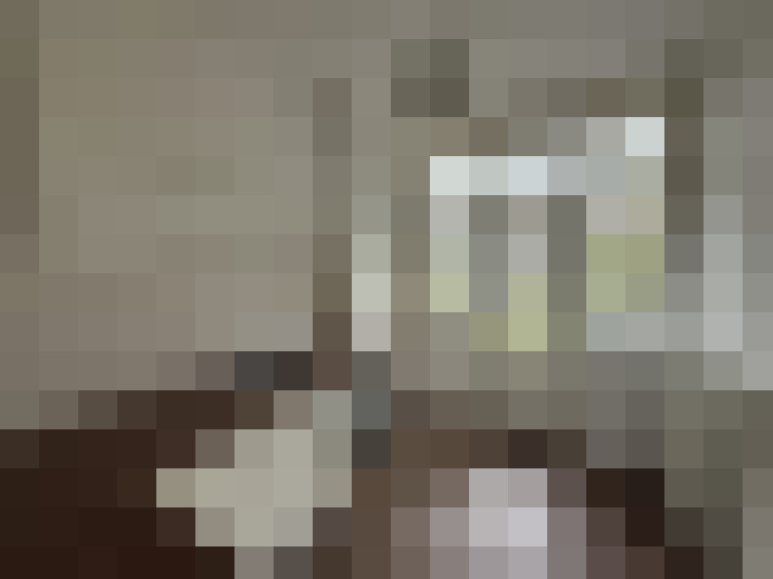 Image 14