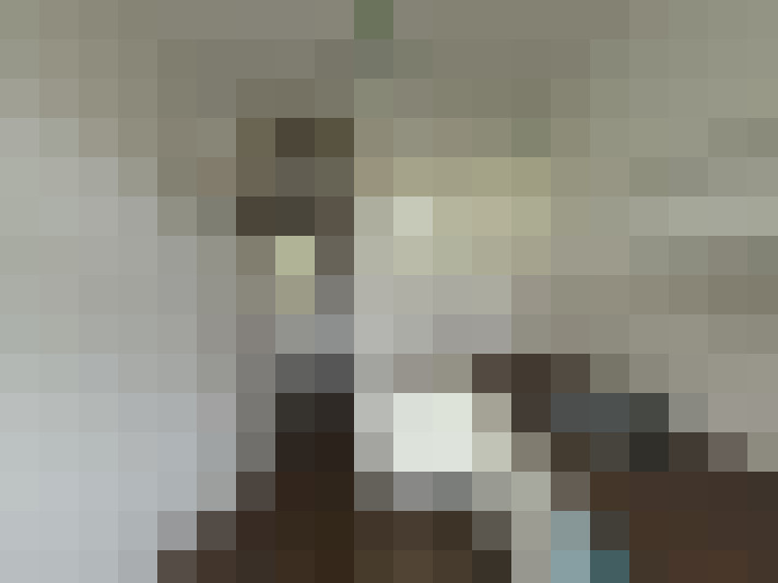 Image 15