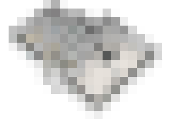Image 38