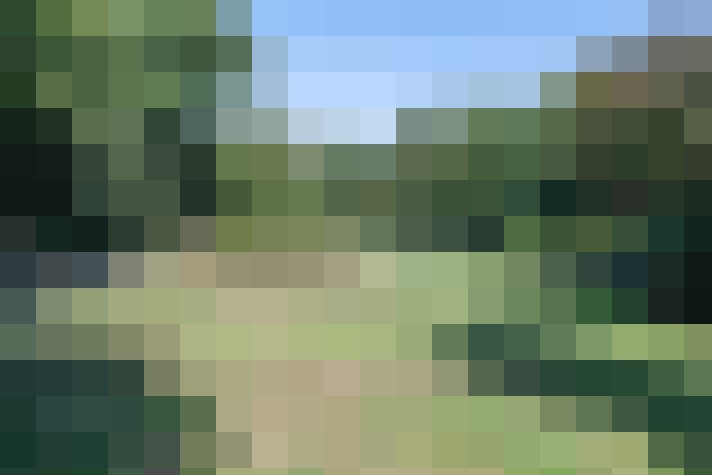 Image 28