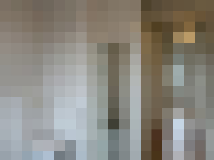 Image 29