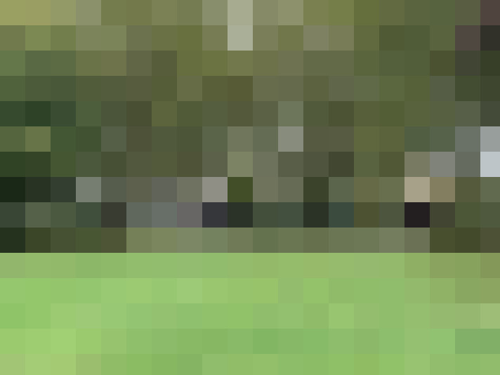 Image 24