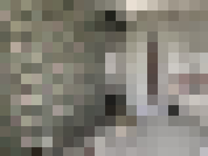 Image 14