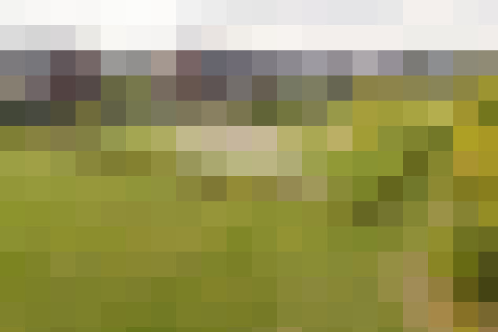 Image 40