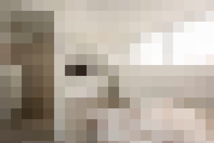 Image 31