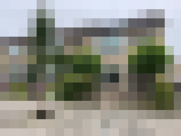 Image 16