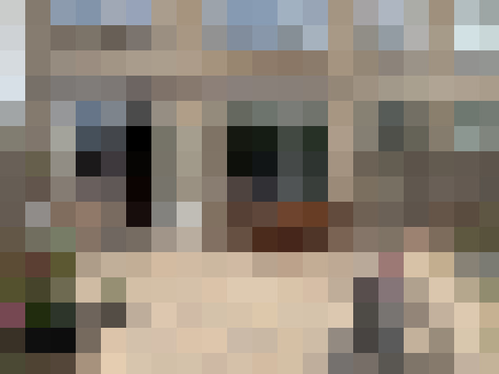 Image 15