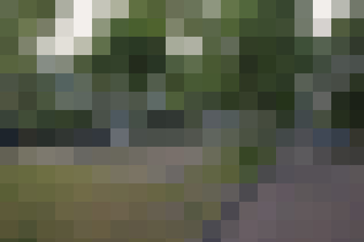 Image 22