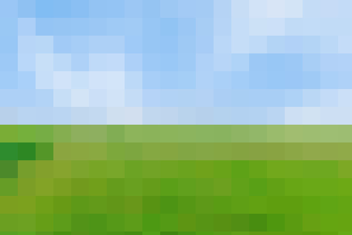 Image 26