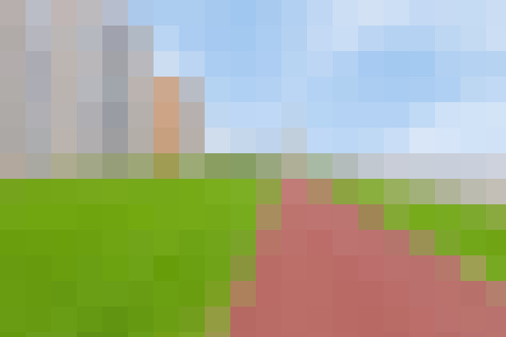 Image 29
