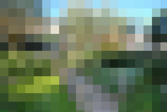 Image 29