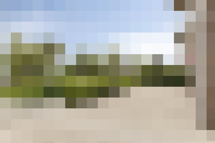 Image 14