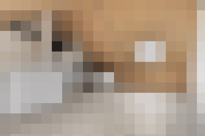 Image 63